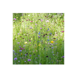 Heublumen